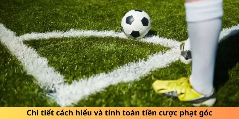 Chi tiết cách hiểu và tính toán được nhiều tiền phạt.