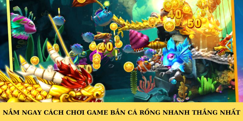 Nắm ngay cách chơi game bắn cá rồng nhanh thắng nhất.